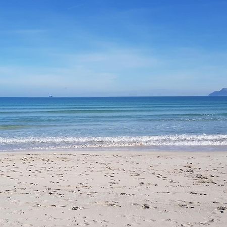 Ideal Property Mallorca - Cittadini 26 Port de Alcudia  Ngoại thất bức ảnh